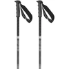 Image de Salomon Bâtons Steep Pro S3
