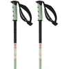 Image de Salomon Bâtons Steep Pro S3