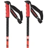 Image de Salomon Bâtons Steep Pro S3