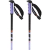 Image de Salomon Bâtons Steep Pro S3
