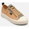 Image de Baskets Palladium Palla Ace Htg Supply M pour Homme Beige 40