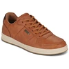 Image de Baskets basses Skechers  PALMIRO P31809495