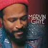 Image de Collected Vinyle album