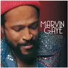Image de Music On Vinyl, Disque vinyle, Collected (Marvin Gaye)
