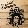 Image de Burnin' Vinyle album