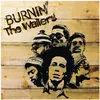 Image de Burnin (LP limité), Disque vinyle
