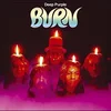 Image de Burn (180g LP) [Vinyl LP] en occasion ou reconditionné
