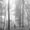 Image de Folklore (Deluxe 2LP) [Vinyl LP] en occasion ou reconditionné