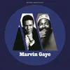Image de Motown Anniversary : Marvin Gaye Vinyle album