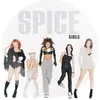 Image de SPICEWORLD 25 (PICT), Disque vinyle