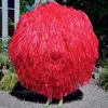 Image de Ode Vinyle Rouge Vinyle album
