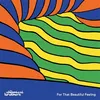 Image de For That Beautiful Feeling Vinyle album