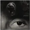 Image de Petrichor (LP), Disque vinyle