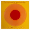 Image de Luminal, Disque vinyle