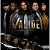 Image de Validé Vinyle album