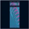 Image de Pretty Hate Machine, Disque vinyle