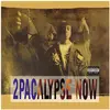 Image de 2pacalypse Now (2 LP), Disque vinyle