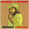 Image de Rastaman Vibration (Limited LP), Disque vinyle