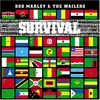 Image de Survival (LP limité), Disque vinyle