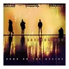 Image de Down On The Upside Vinyle album