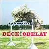 Image de Odelay, Disque vinyle