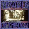 Image de Temple Of The Dog Vinyle album