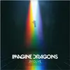 Image de Evolve (vinyle), Disque vinyle