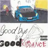 Image de Goodbye & Good Riddance (vinyle), Disque vinyle