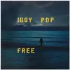 Image de Free (vinyle), Disque vinyle