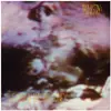 Image de The Land Of Rape And Honey(Édition de luxe), Disque vinyle