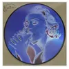 Image de Erotica 30ème Anniversaire Édition Limitée Picture Disc Maxi vinyle