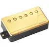 Image de Humbuckers Fishman Fluence Humbucker Classic Dore Manche Doubles