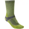 Image de Bridgedale Chaussettes Mid-season Weight T2 Merino Sport EU 44-47