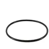 Image de Joint torique pour chlorinateur de piscine - CLX200K - Noir - Hayward