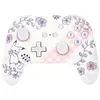 Image de Manette sans fil PowerA Pikachu Garden pour Nintendo Switch