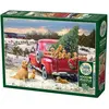 Image de Cobble Hill Puzzle 1000 pièces Family Outing (1000 pièces)