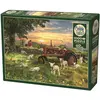 Image de Cobble Hill Puzzle 1000 pieces Field at Sunrise (1000 pièces)