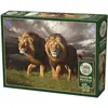 Image de Cobble Hill Puzzle 1000 pieces Approaching Storm (1000 pièces)