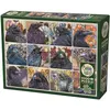 Image de Cobble Hill Puzzle 1000 Raben G3 (1000 pièces)
