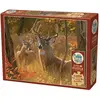 Image de Cobble Hill Puzzle Geheimtreffen XL 275 Teile (275 pièces)