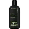 Image de Attitude, Shampoing, Shampooing et après-shampooing fortifiants 2 en 1 pour hommes, pour cheveux fragiles (550 g)
