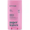 Image de Attitude, Déodorant, Natürliches Deo Super Leaves Kokosnuss und Waldfrüchte 75 g (Stick, 75 g)