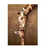 Image de Puzzle 500 pièces XXL - Girafe Mother's Kiss