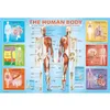 Image de Puzzle 200 pièces : Le corps humain Eurographics