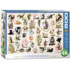Image de Eurographics Yoga chaton (500 pièces)