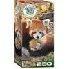Image de Eurographics Pandas rouges (250 pièces)