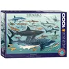 Image de EurographicsPuzzles - Requins - puzzle - 1000 pièces