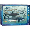 Image de Eurographics Requins (1000 pièces)