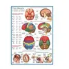 Image de EurographicsPuzzles Science - The Brain - puzzle - 1000 pièces