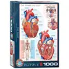 Image de Eurographics Le coeur (1000 pièces)